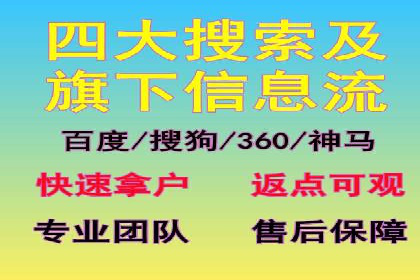 成功案例分享：SEM推广策略的制定与执行